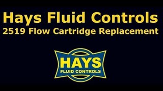 Mesurflo 2519 Flow Cartridge Replacement