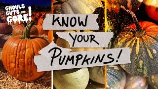 Know Your Pumpkins | Ghouls, Guts, & Gore!