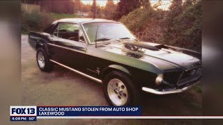 Classic Mustang stolen from auto shop | FOX 13 Seattle