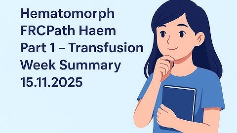 Summary: Tranafusion Week 15.11.2025