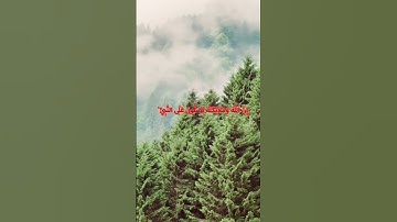 يا أيها الذين آمنوا صلوا عليه وسلموا تسليما - سورة الأحزاب