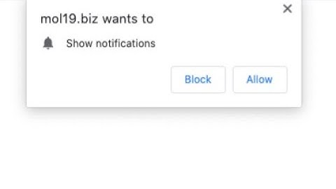 Mol19.biz push notifications (removal instructions).