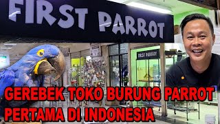 Gerebek Toko Burung Parrot Pertama Di Indonesia