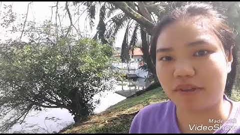 AMW 346 IMC Market Segmentation, Targeting and Positioning