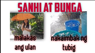 SANHI AT BUNGA/grade5 Filipino