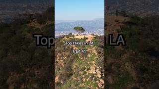 Top Hikes in LA - Wisdom Tree! #hike #hiking #hikingadventures #losangeles Top Hikes in LA - Wisdom Tree! #hike #hiking #hikingadventures #losangeles
