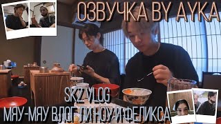 [Русская озвучка by Ayka] [SKZ VLOG] Ли Ноу и Феликс : Мяу-мяу Влог