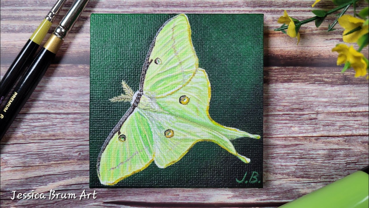 Luna Moth Acrylic Painting Time-Lapse / Mini Painting
