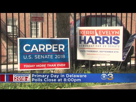 Voters Head To Polls For Primary Day In Delaware