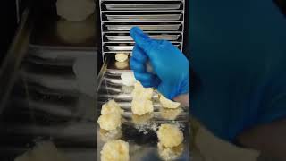 Freeze Drying Japanese Candy!