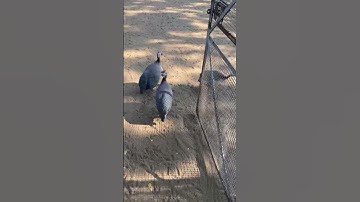 At Vgp Marine Kingdom, Chennai💕