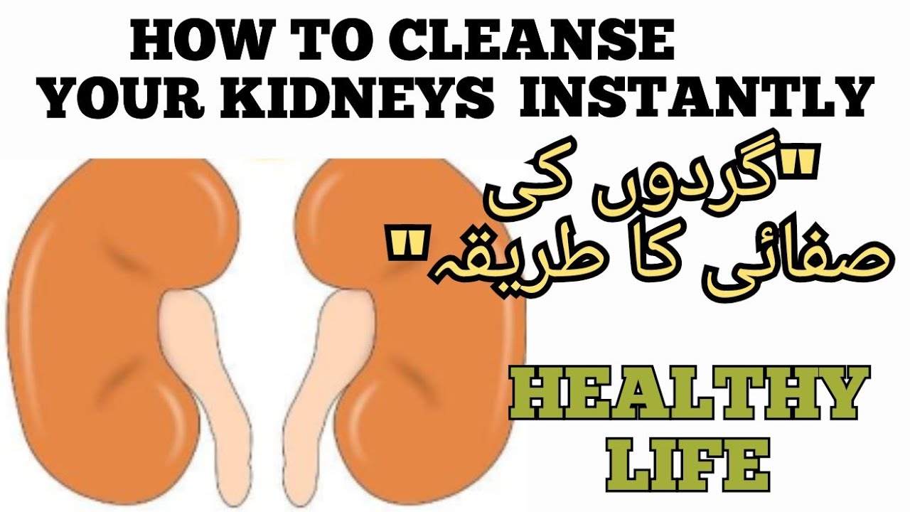 HOW TO CLEANSE YOUR KIDNEYS INSTANTLY HEALTHY LIFE YouTube