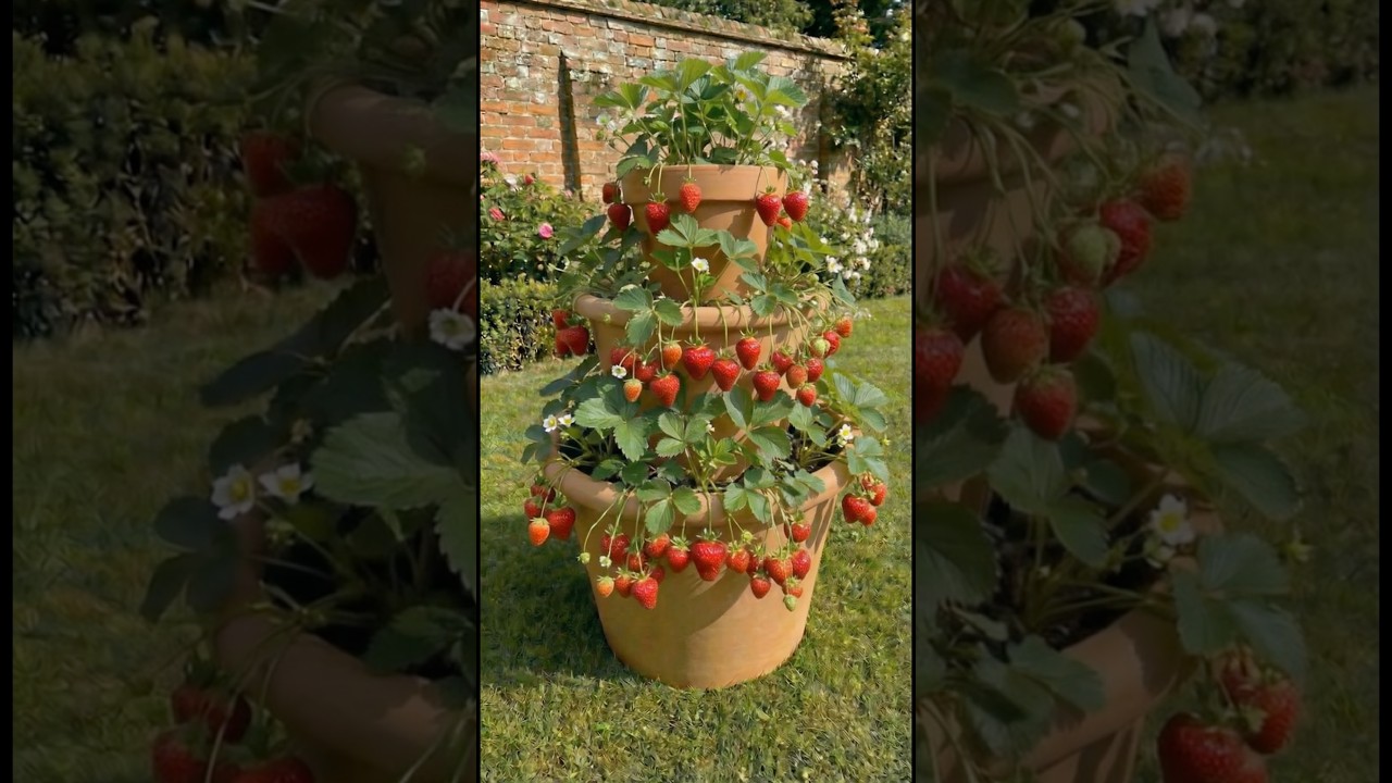 Strawberry Tower Hack 🍓 (Big Harvest, Tiny Space)