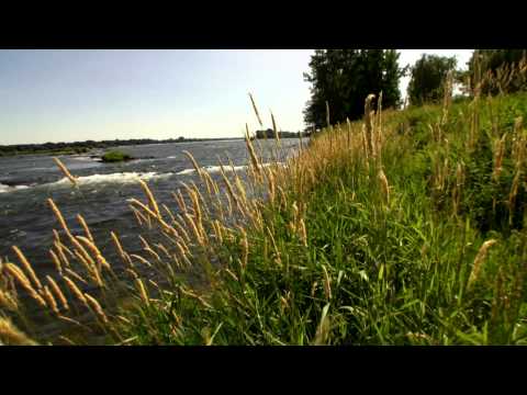 Where I'm From (Trailer) - Where I'm From (Trailer)