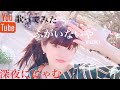 ふがいないや YUKI 歌ってみた