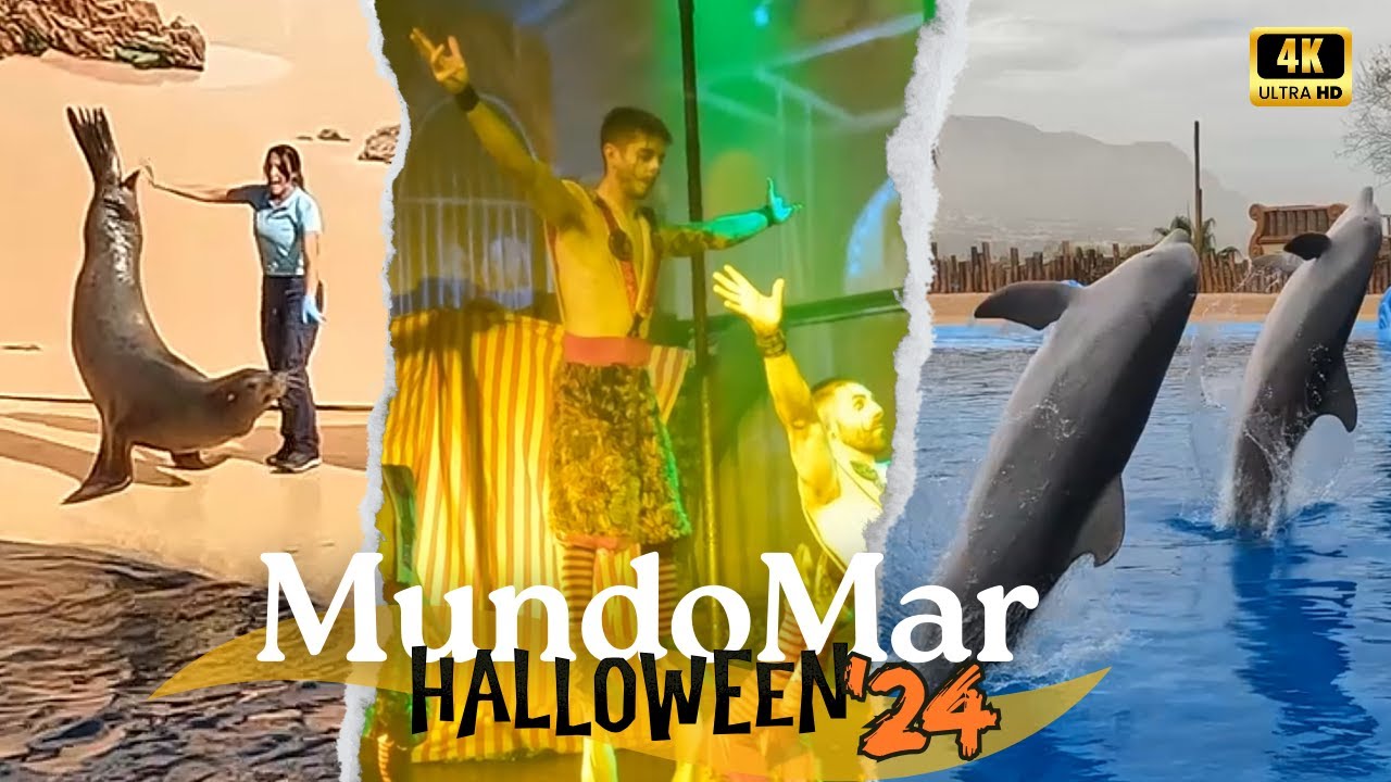 Mundo Mar Benidorm Halloween - Is it worth a visit?