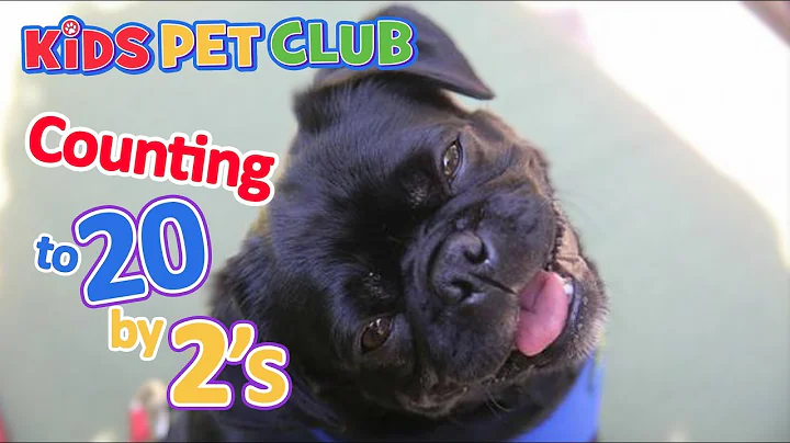 Dog Song Sing-Along - Counting to 20 by 2s