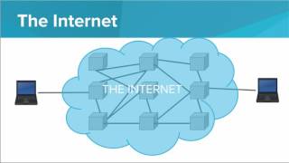 Routing Net Worth
