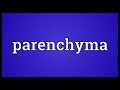 Parenchyma Meaning Parenchyma Meaning