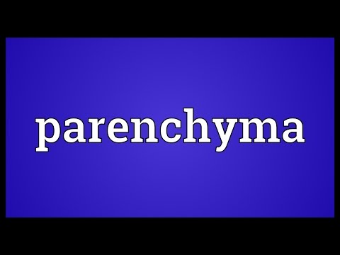 Parenchyma Meaning