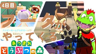 フータが島にやってくる！少しずつ発展してきたな～～～！　4日目【川鰐グラムのあつまれどうぶつの森実況】