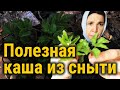 Сныть и антипаразитарная каша.