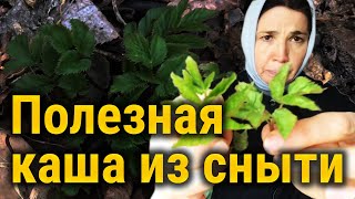 Сныть и антипаразитарная каша.