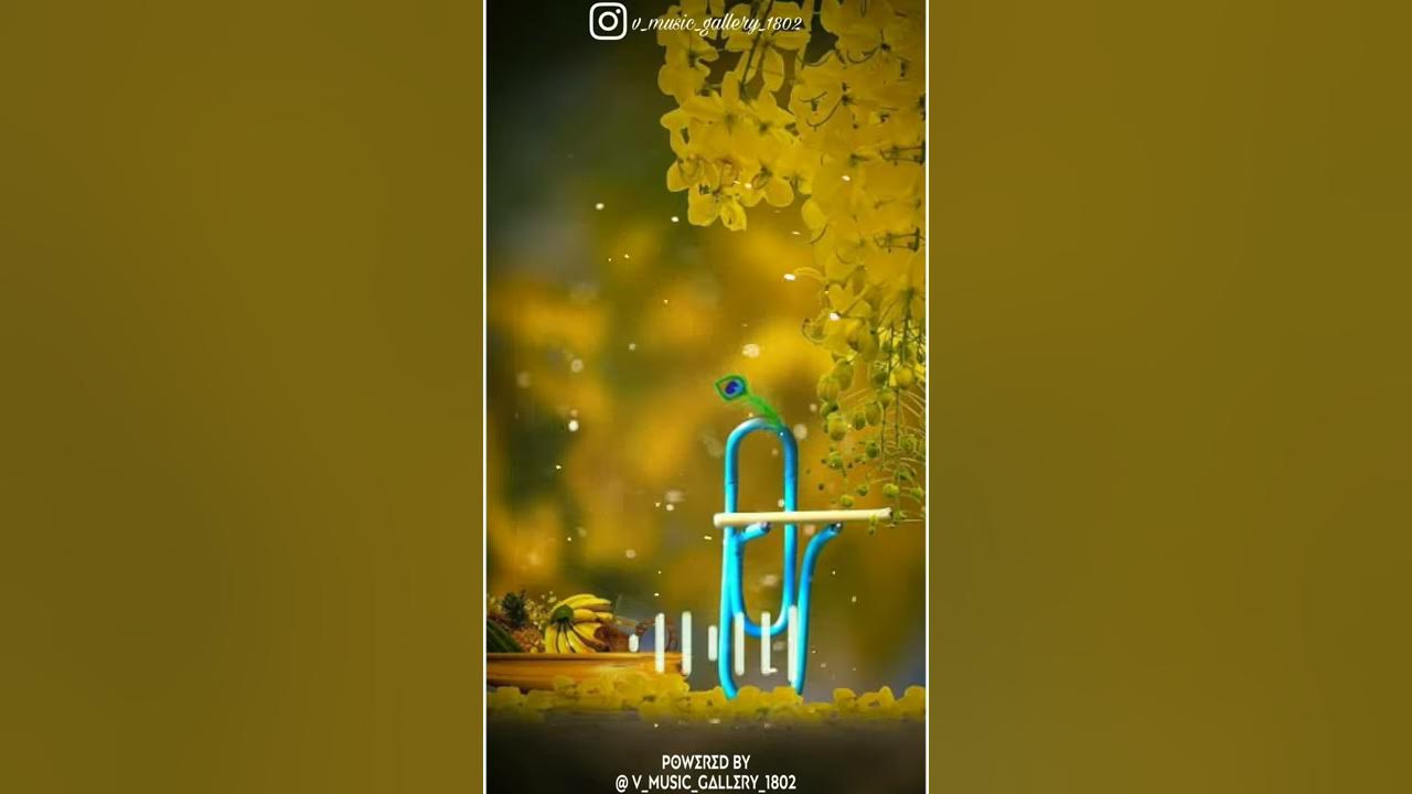 Shree Krishna flute musicFlute music WhatsApp status Krishna