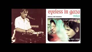 Eyeless In Gaza – Voice · The Best Of Eyeless In Gaza