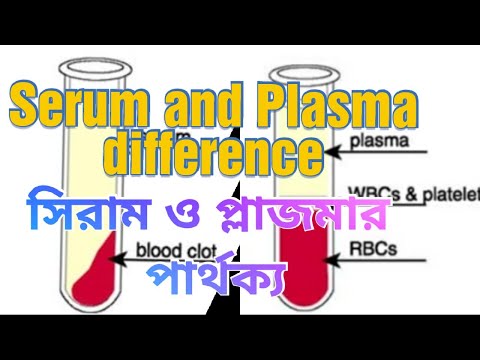 Different  serum and plasma | সিরাম ও প্লাজমার পার্থক্য |with medical education |medical  students