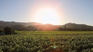 Closing Security Gaps