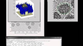 Full Pebbles Tutorial #4 - Non-spherical nanoparticles Update