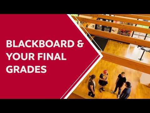 Blackboard and Final Grades