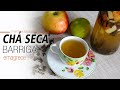 CHÁ SECA BARRIGA - EMAGRECE RÁPIDO