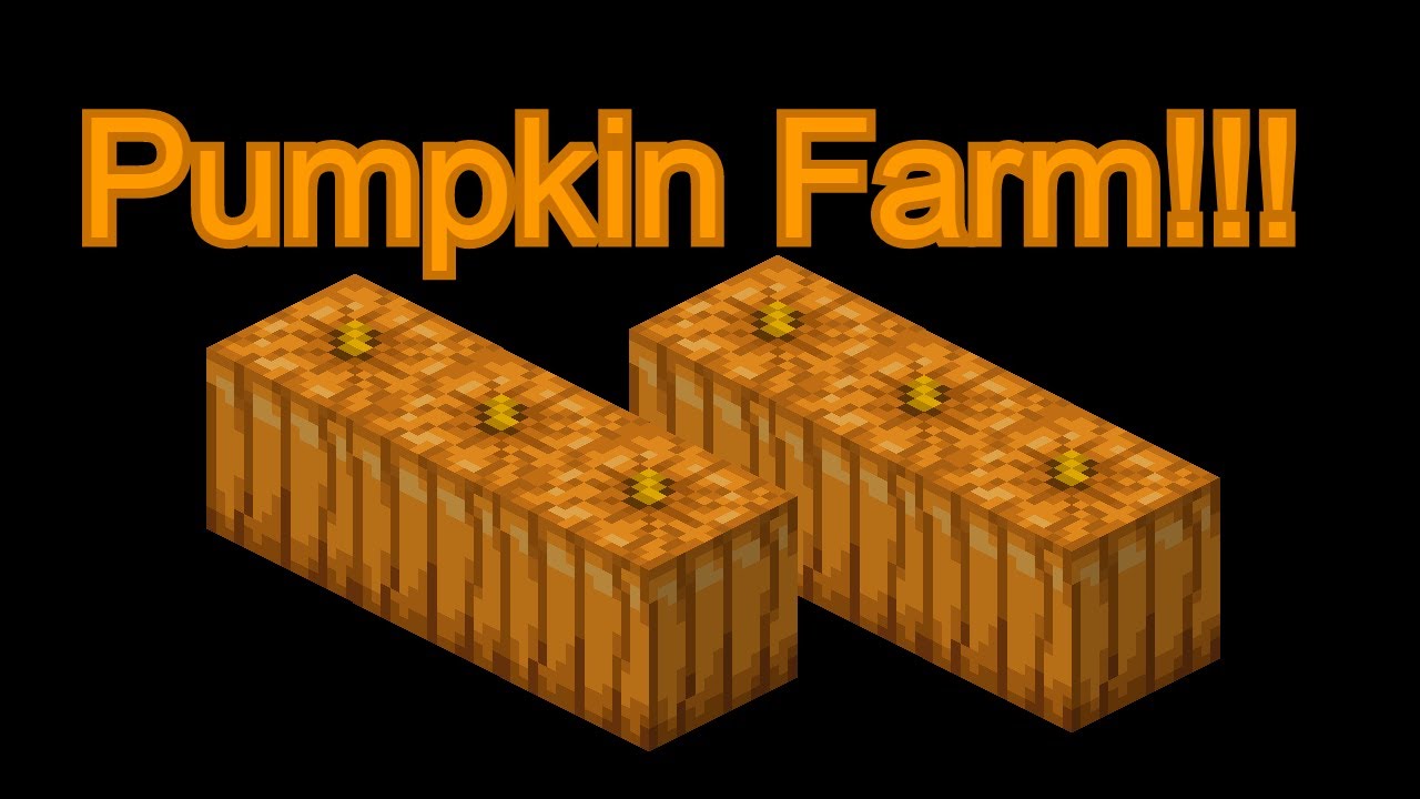 Pumpkin Farm!!! (hypixel skyblock) YouTube