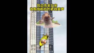 重生之幻想 #有趣 #猫meme #猫meme剧场 #猫meme小剧场 #内容过于真实  #故事 #貓 #猫猫meme小剧场 #喵不可言