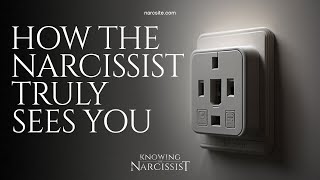 How the Narcissist Truly Sees You