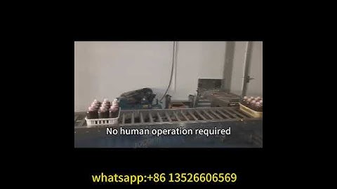 Full-automatic mushroom bag liquid spawn inoculation line #mushroomgrowing #mushroommachine