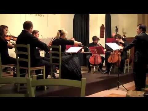 Essay for string orchestra by Georges Gondard à Nice