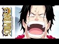 One Piece Season Eight Voyage One Coming Soon One Piece Season Eight Voyage One Coming Soon