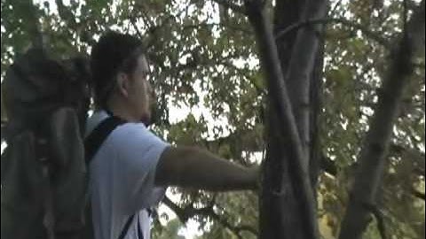 Cloud Cult "Journey of the Featherless" Music Video