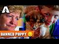 CHICKENS ON A PLANE? 🐔 The Puppy Dilemma & Lost Keys | Airline USA S02 Ep.04
