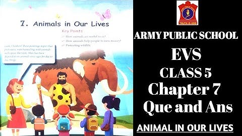 APS class 5 EVS chapter 7 | ANIMAL IN OUR LIVES QUE. AND ANS. | APS class 5 EVS book @nksclasses