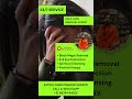 Kala Jadu Removal Solution | Remove Negative Energy & Evil Effects