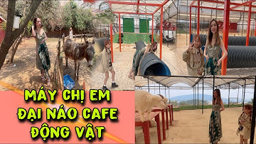 CÔ GÁI ĐÀ LẠT TƯỜNG VY TRỔ TÀI NÓI CHUYỆN VỚI THÚ II TƯỜNG VY - ĐÔI CHÂN THIÊN THẦN