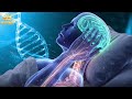 528Hz + 432Hz | The Deepest Healing: DNA Repair, Heal Damage In The Body and Spirit #3