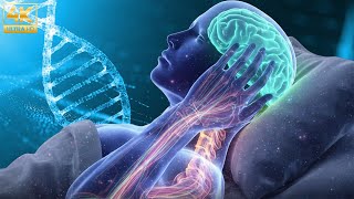 528Hz + 432Hz | The Deepest Healing: DNA Repair, Heal Damage In The Body and Spirit #3