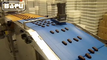 ensacheuse horizontale,ensacheuse flow pack,machine d