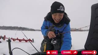 Ice fishing up north MN chasing crappies with Garmin livescope. FFS for the win (Hmong Fishing)
