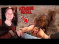 25 ATAQUES DE ANIMAIS A SERES HUMANOS FILMADOS POR CÂMERAS